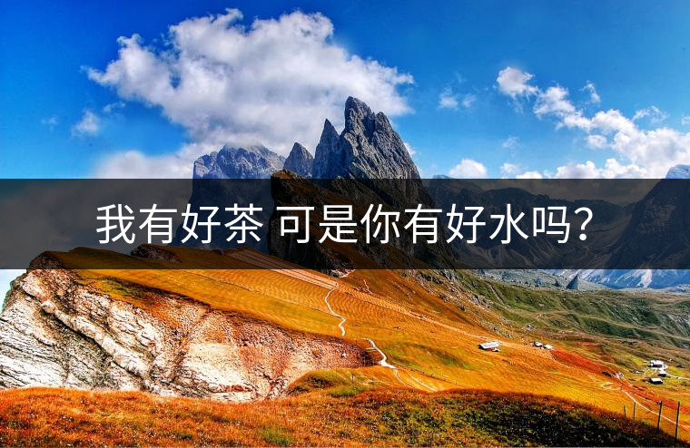 我有好茶 可是你有好水嗎？