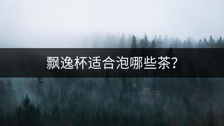 飄逸杯適合泡哪些茶？