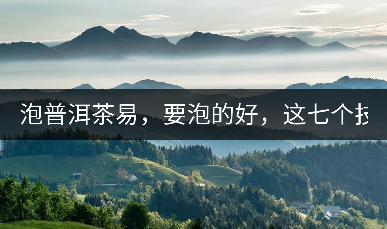 泡普洱茶易，要泡的好，這七個(gè)技巧很重要！