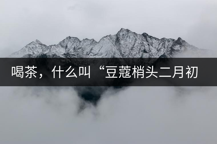 喝茶，什么叫“豆蔻梢頭二月初”？