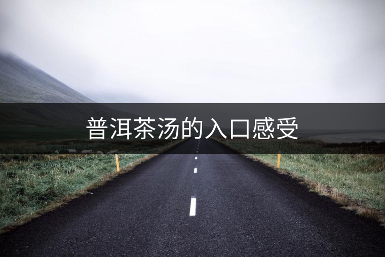 普洱茶湯的入口感受