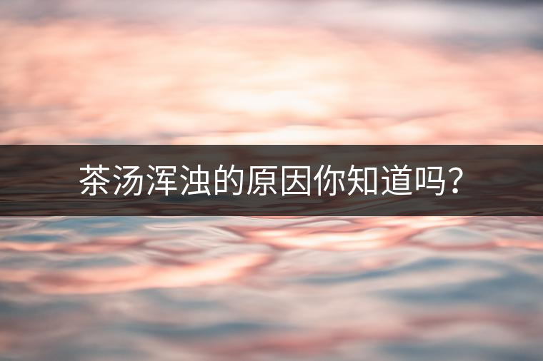 茶湯渾濁的原因你知道嗎？