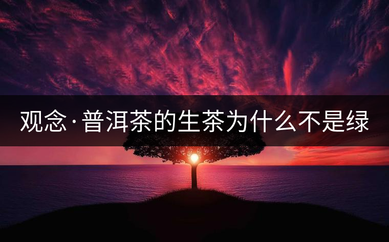 觀念·普洱茶的生茶為什么不是綠茶？