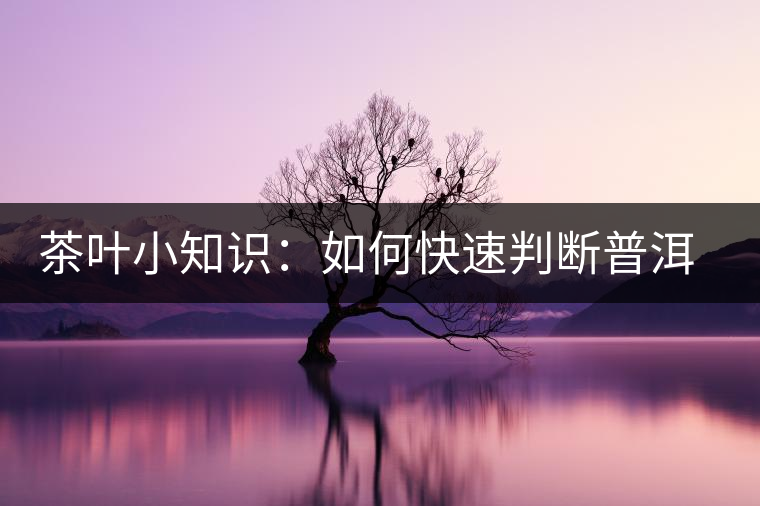 茶葉小知識：如何快速判斷普洱茶品級高低？