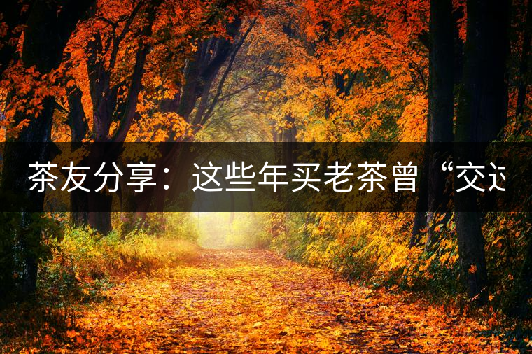 茶友分享：這些年買老茶曾“交過的學費”