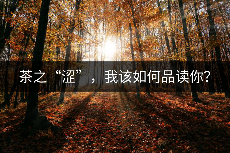 茶之“澀”，我該如何品讀你？
