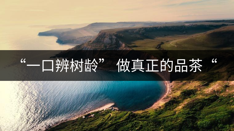 “一口辨樹齡” 做真正的品茶“大師”！