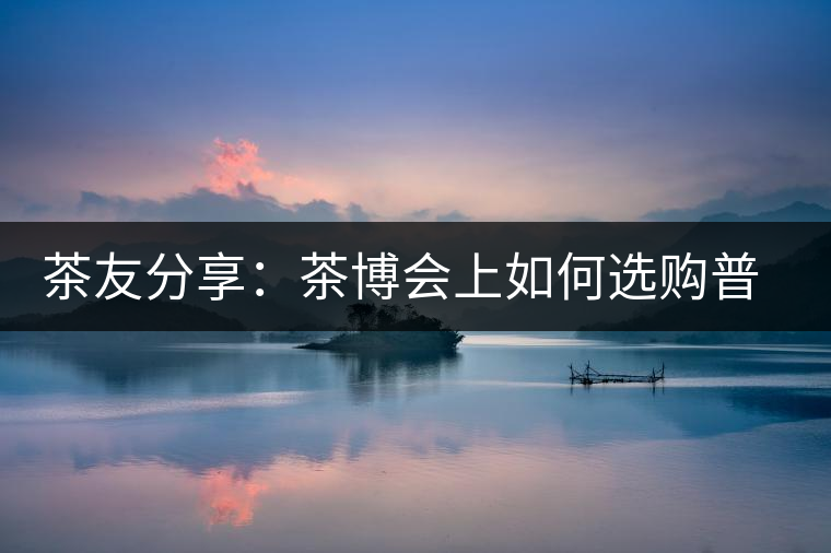 茶友分享：茶博會(huì)上如何選購普洱茶？