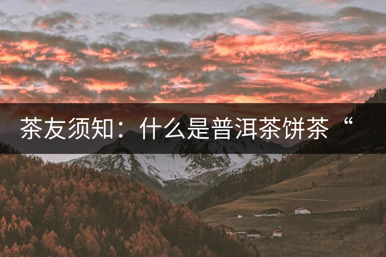 茶友須知：什么是普洱茶餅茶“八病”？如何鑒別？