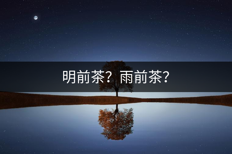 明前茶？雨前茶？