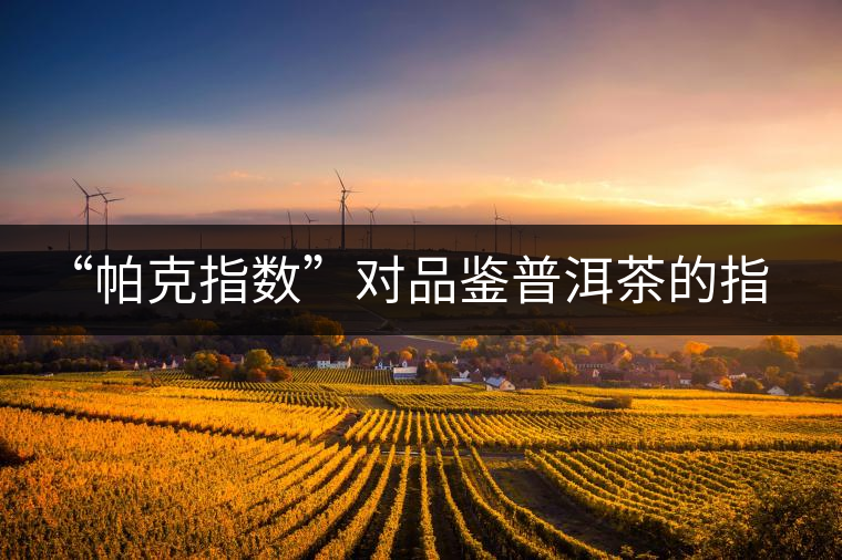 “帕克指數(shù)”對(duì)品鑒普洱茶的指導(dǎo)意義在哪里？「跨界有道」