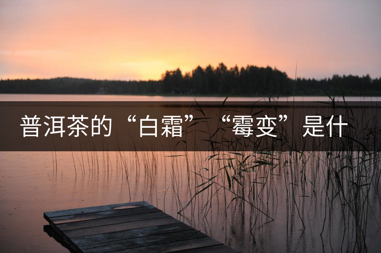 普洱茶的“白霜”“霉變”是什么鬼？