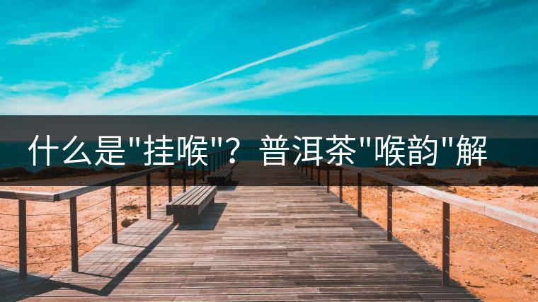 什么是