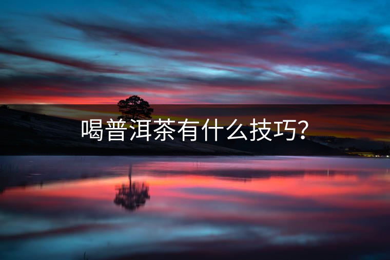 喝普洱茶有什么技巧？