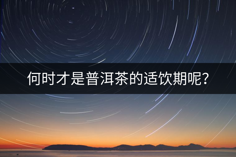 何時才是普洱茶的適飲期呢？