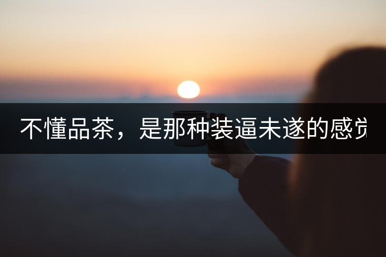 不懂品茶，是那種裝逼未遂的感覺？