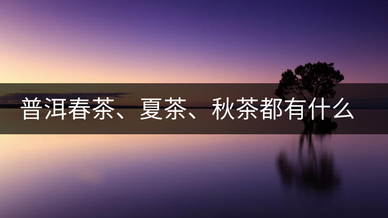 普洱春茶、夏茶、秋茶都有什么特點？