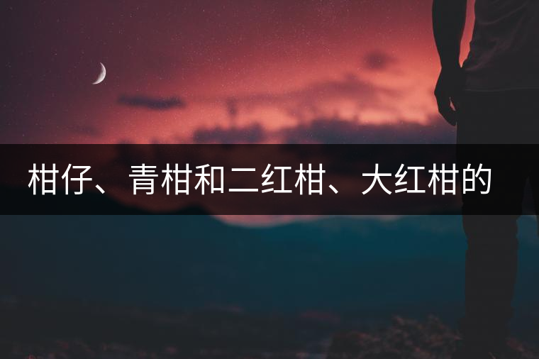 柑仔、青柑和二紅柑、大紅柑的區(qū)別，你可知道？