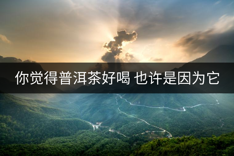 你覺(jué)得普洱茶好喝 也許是因?yàn)樗? alt=