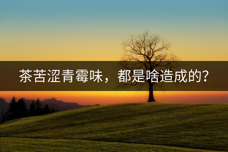 茶苦澀青霉味，都是啥造成的？