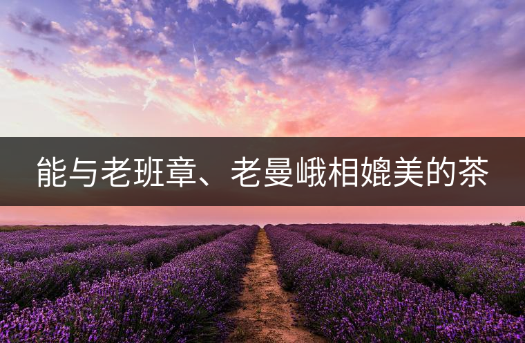能與老班章、老曼峨相媲美的茶