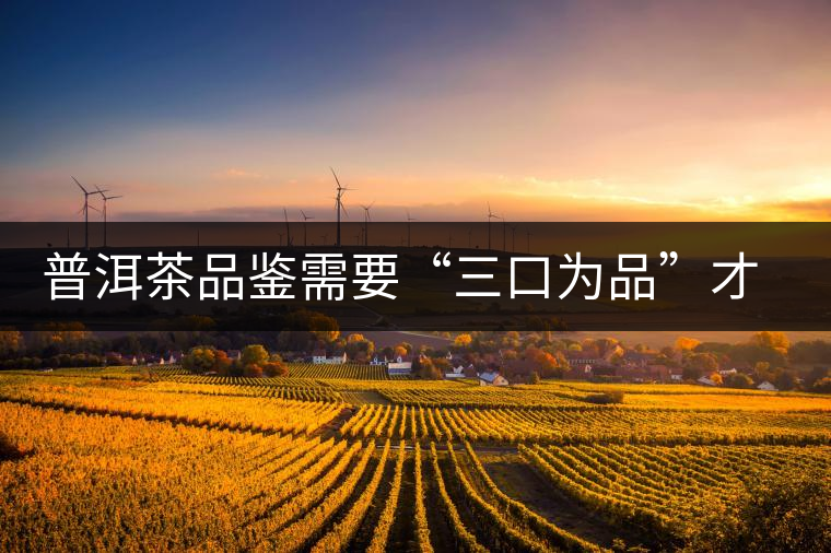 普洱茶品鑒需要“三口為品”才真實(shí)，那從哪里入手品鑒呢？