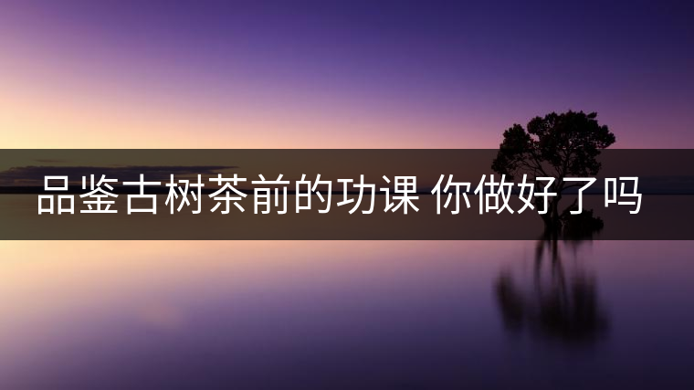 品鑒古樹茶前的功課 你做好了嗎？