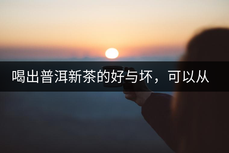 喝出普洱新茶的好與壞，可以從這五點(diǎn)出發(fā)