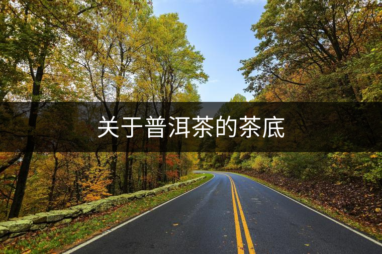 關(guān)于普洱茶的茶底 關(guān)于普洱茶的茶底