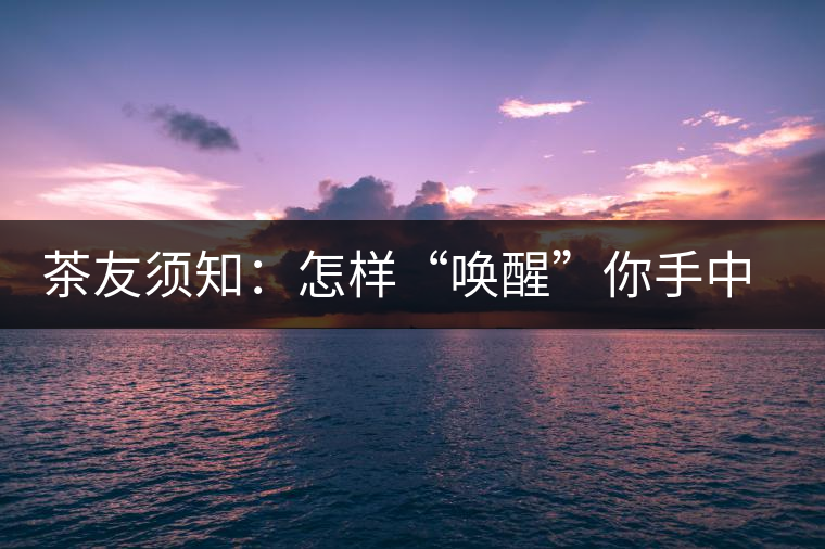 茶友須知：怎樣“喚醒”你手中的那一餅普洱茶？