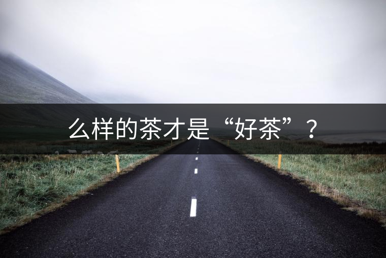 么樣的茶才是“好茶”？