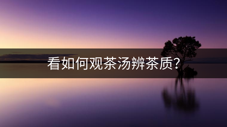 看如何觀茶湯辨茶質(zhì)？