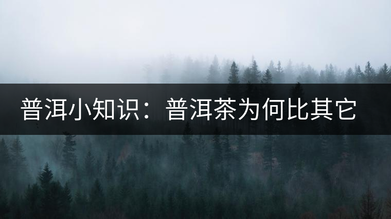 普洱小知識(shí)：普洱茶為何比其它茶葉耐泡？
