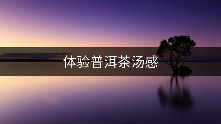 體驗普洱茶湯感 體驗普洱茶湯感