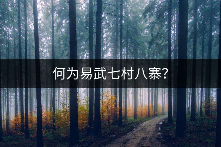 何為易武七村八寨？