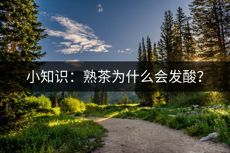 小知識：熟茶為什么會發(fā)酸？