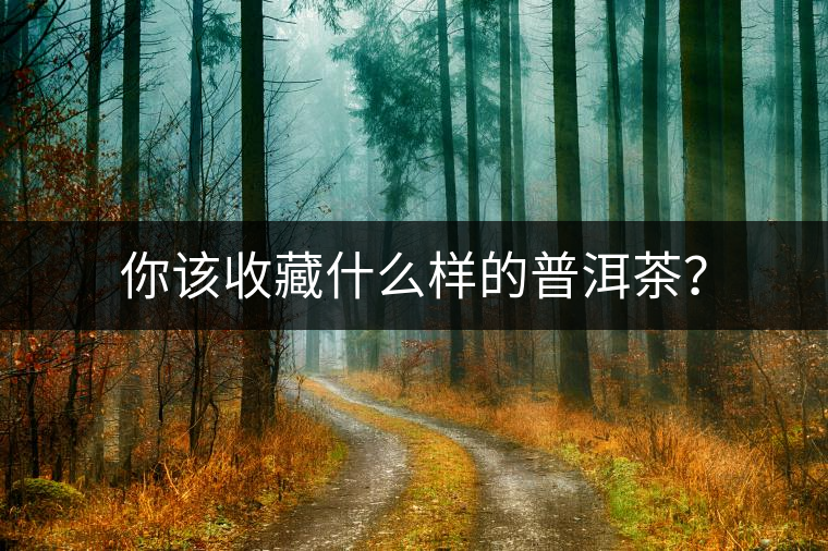 你該收藏什么樣的普洱茶？