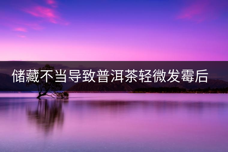 儲藏不當(dāng)導(dǎo)致普洱茶輕微發(fā)霉后如何處理？