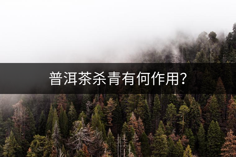 普洱茶殺青有何作用？