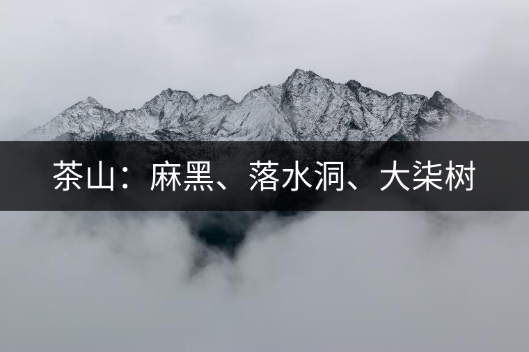 茶山：麻黑、落水洞、大柒樹