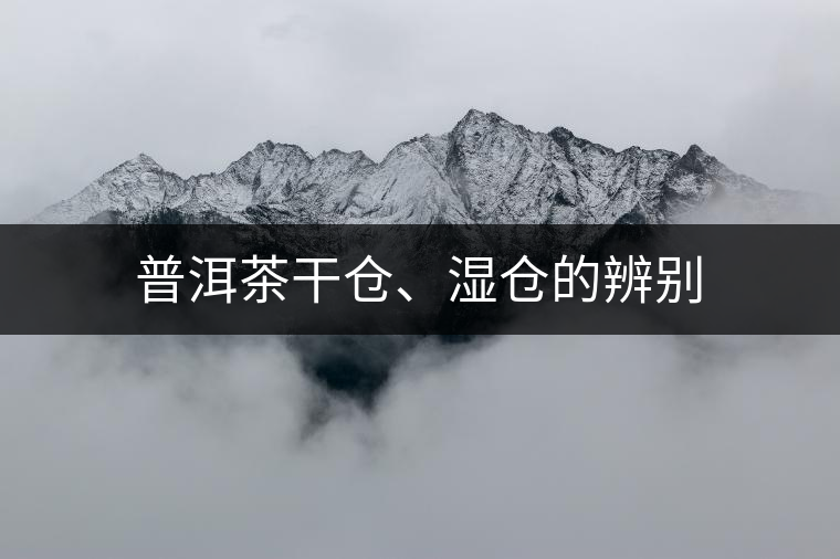 普洱茶干倉、濕倉的辨別