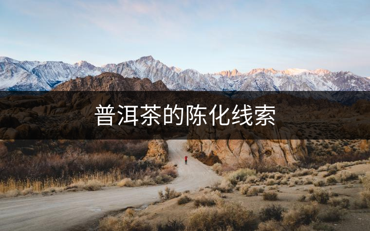 普洱茶的陳化線索 普洱茶的陳化線索
