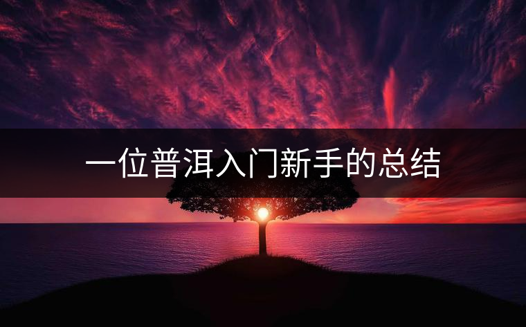一位普洱入門(mén)新手的總結(jié)
