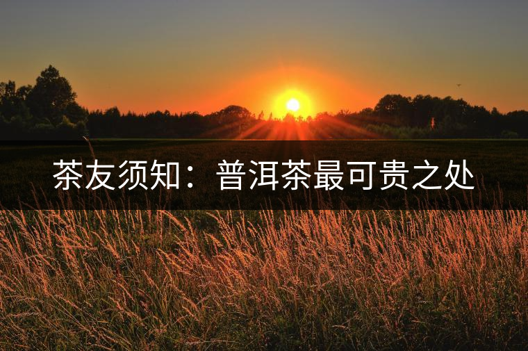 茶友須知:普洱茶最可貴之處 茶友須知:普洱茶最可貴之處