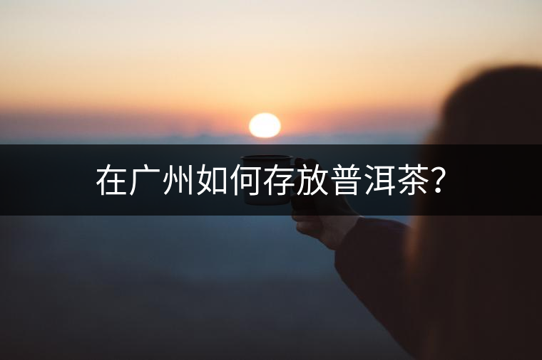 在廣州如何存放普洱茶？
