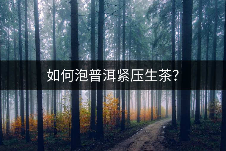 如何泡普洱緊壓生茶？