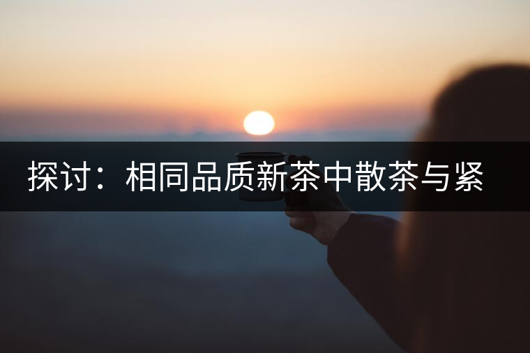 探討：相同品質(zhì)新茶中散茶與緊壓茶哪個(gè)好？