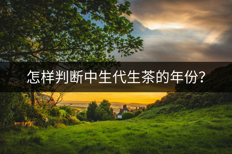 怎樣判斷中生代生茶的年份？