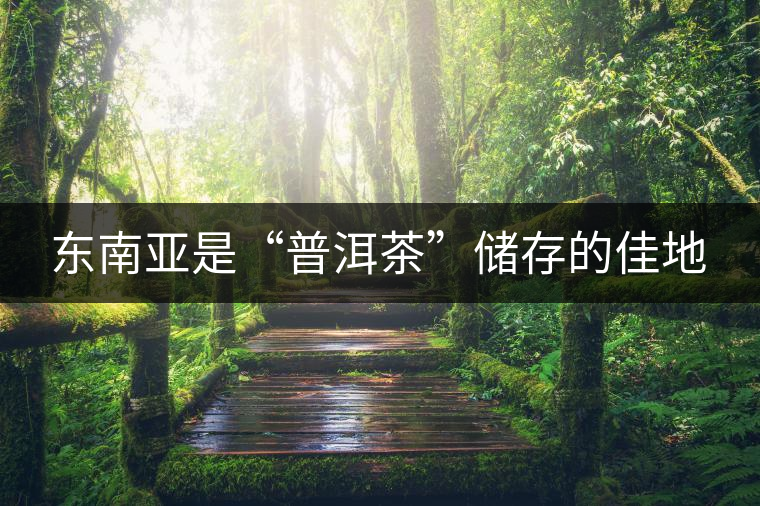 東南亞是“普洱茶”儲存的佳地 東南亞是“普洱茶”儲存的佳地