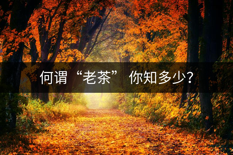 何謂“老茶” 你知多少？